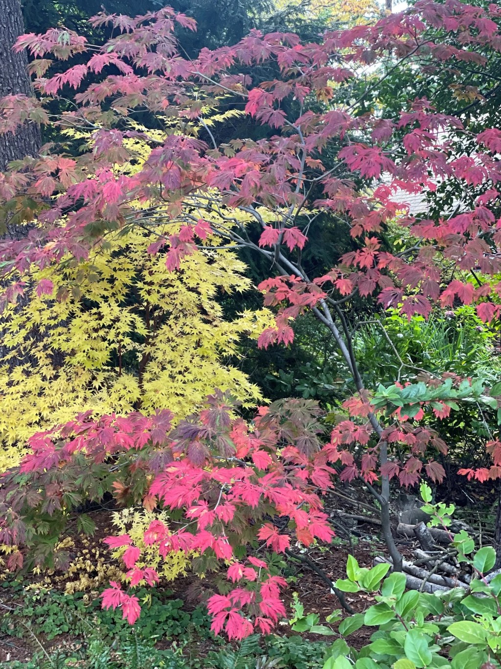 Breaking Down Improper&nbsp;Logic