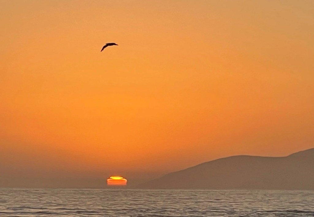 Non-Analogous Art Wins One at the&nbsp;PTAB