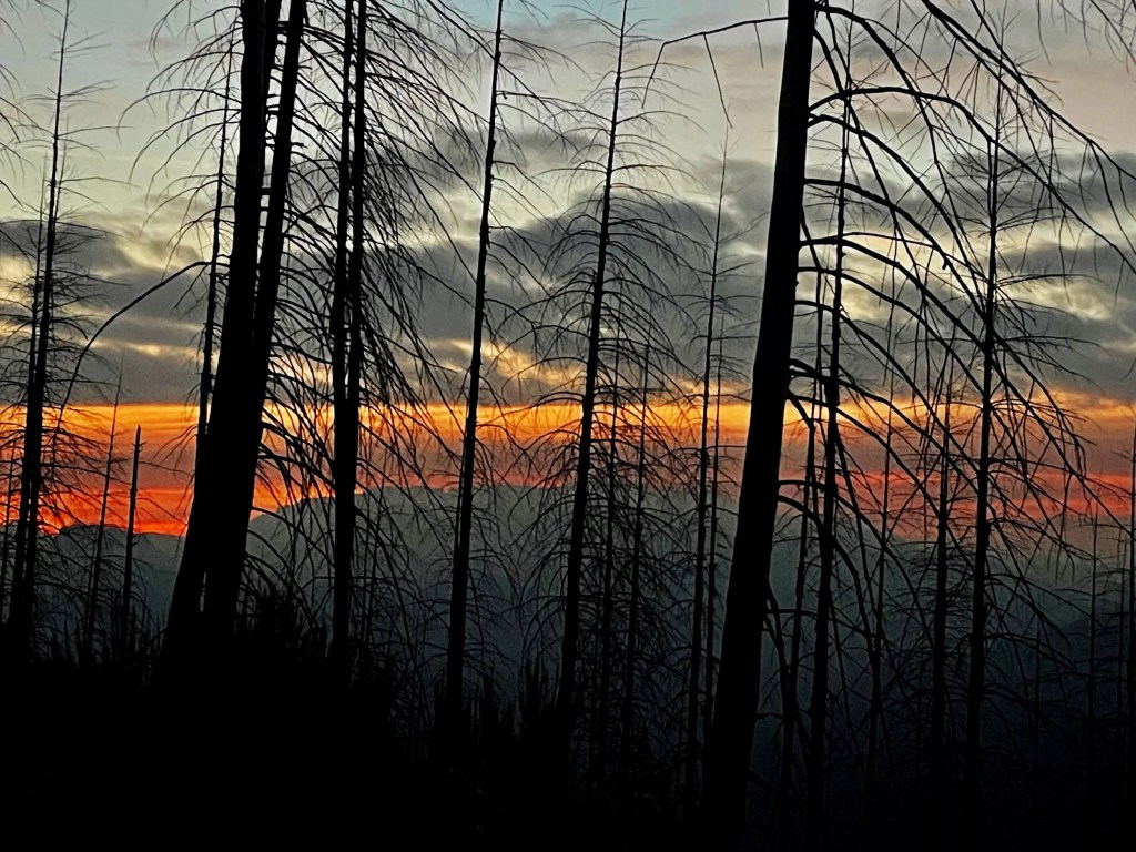 Navigating the Use of Color in Utility Patent Claims