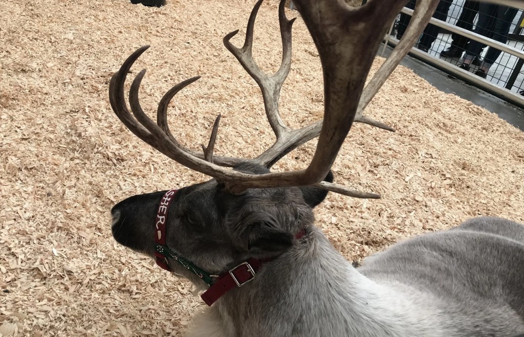 Creating Issues Where There are&nbsp;None