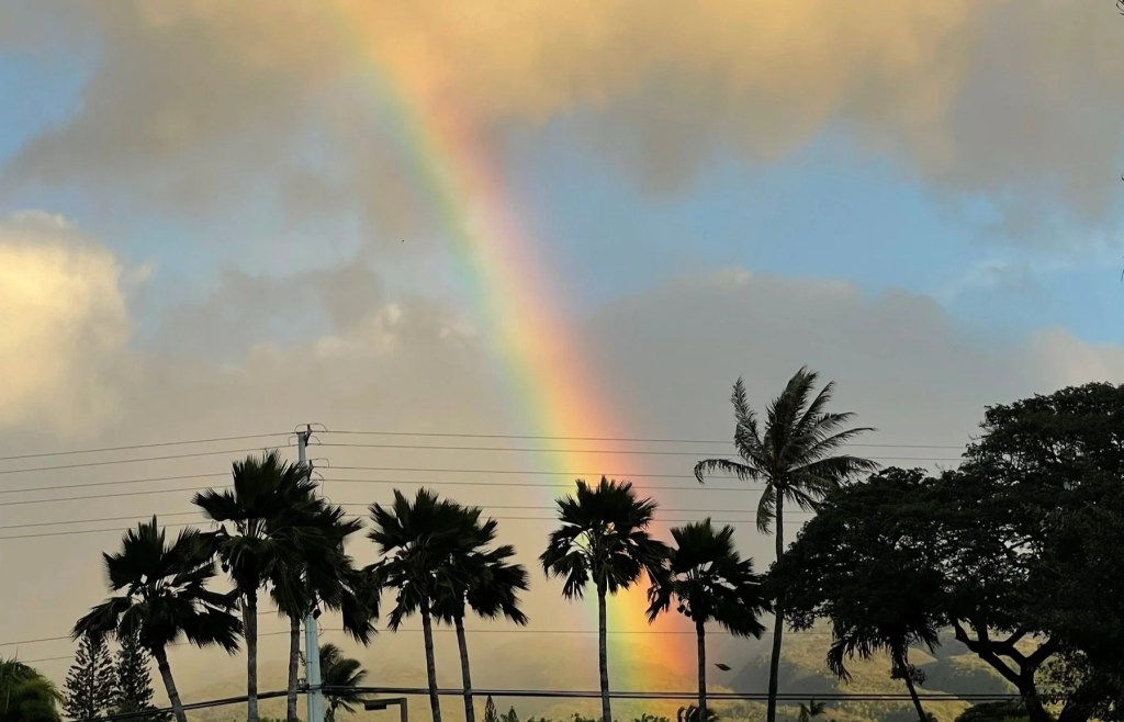 When Prior Art Discloses Extra&nbsp;Features