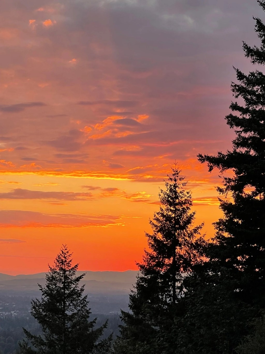 Functional Claiming Dangers – When claim scope too closely matches the scope of disclosure in the specification