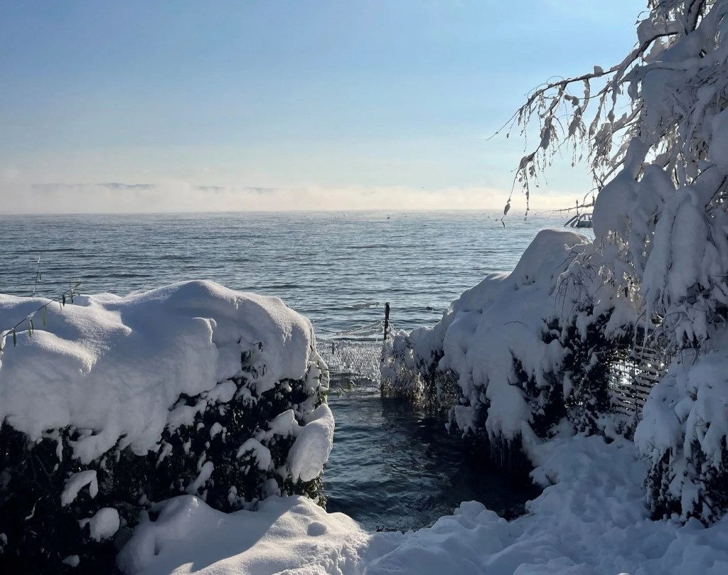 Core Wireless and Example 37 Help Roche Secure a 101&nbsp;Win