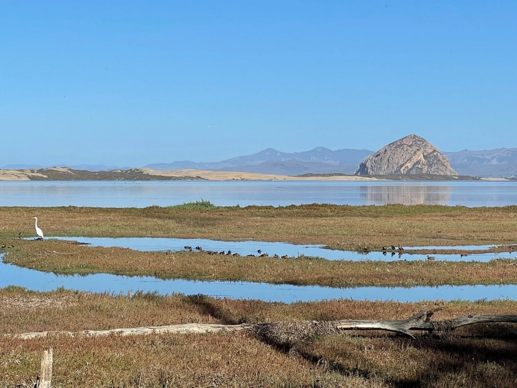 Wacky Examiner Interpretations Can’t Just Be Dismissed