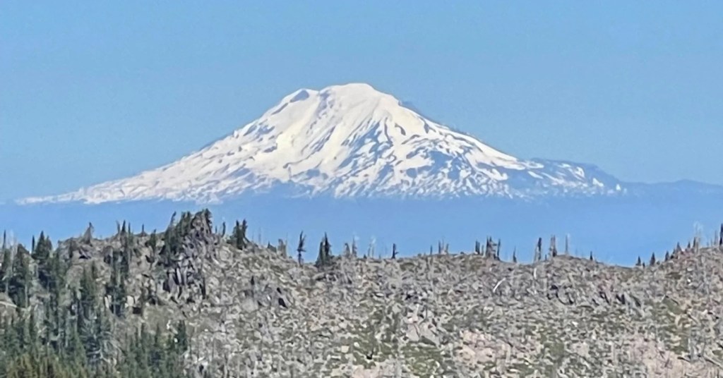 Best Of Mr. IP&nbsp;Law