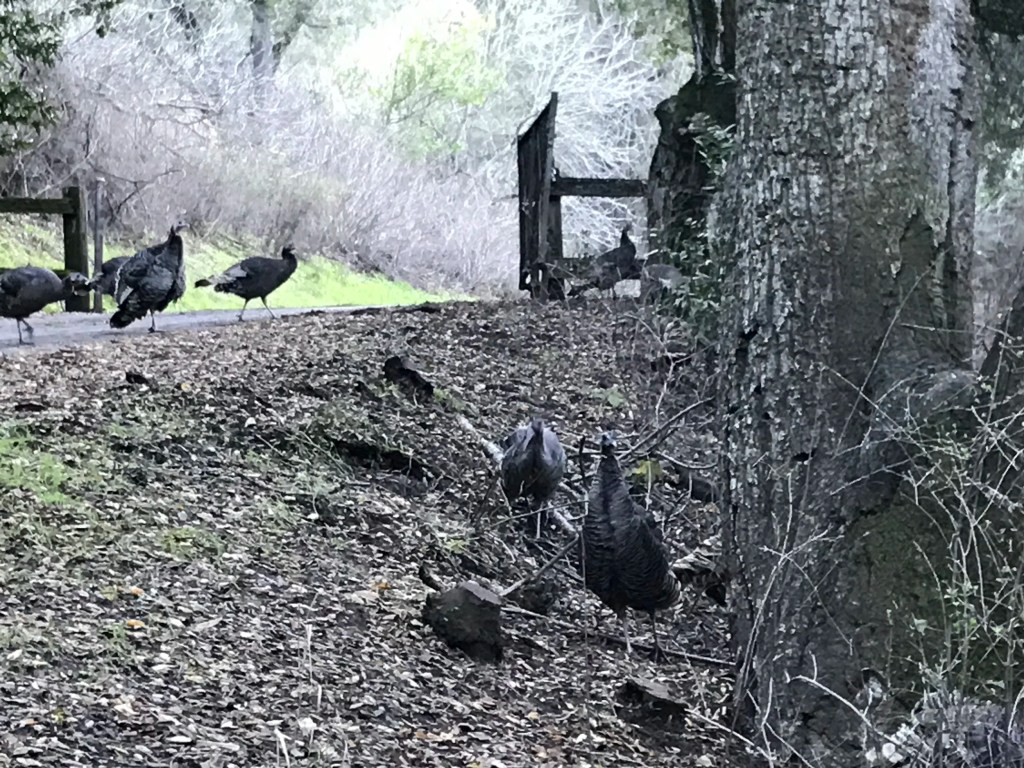 What’s in a&nbsp;Name?