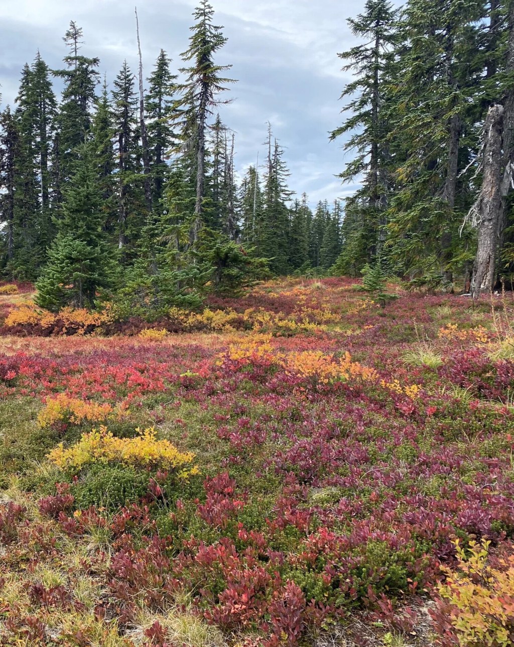 All Too Easy To Miss –&nbsp;BRI