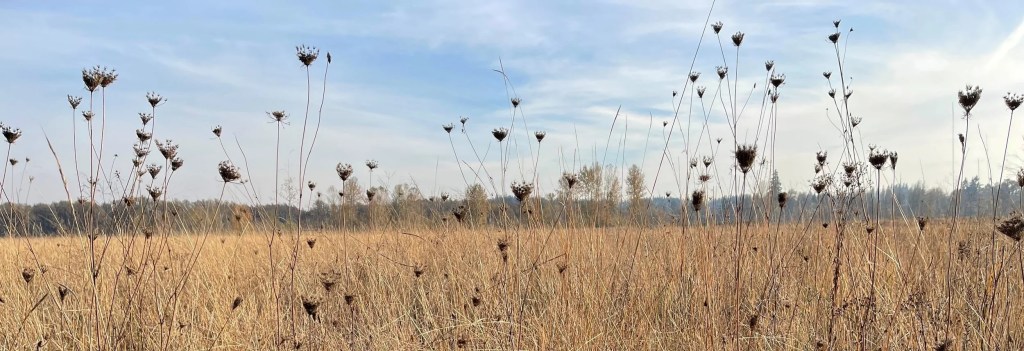 Appeal Brief Rules – Who Enforces?