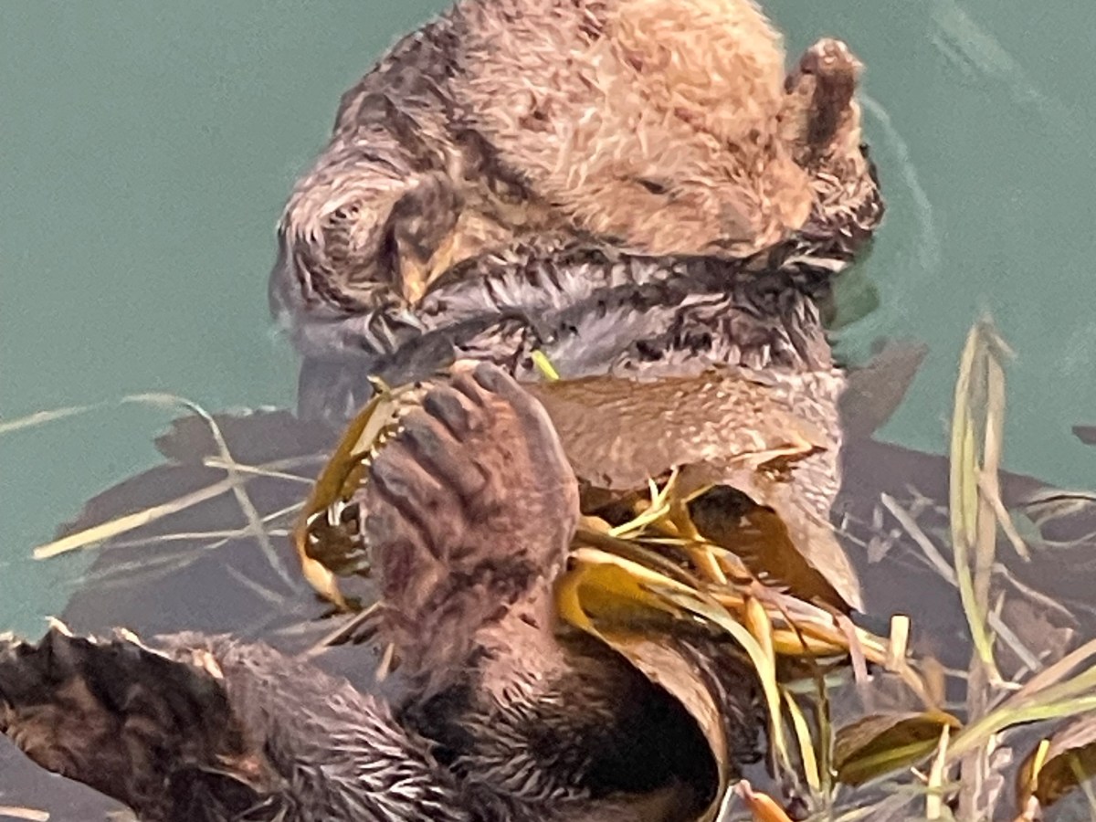 It Looked Obvious, Until It&nbsp;Wasn’t: