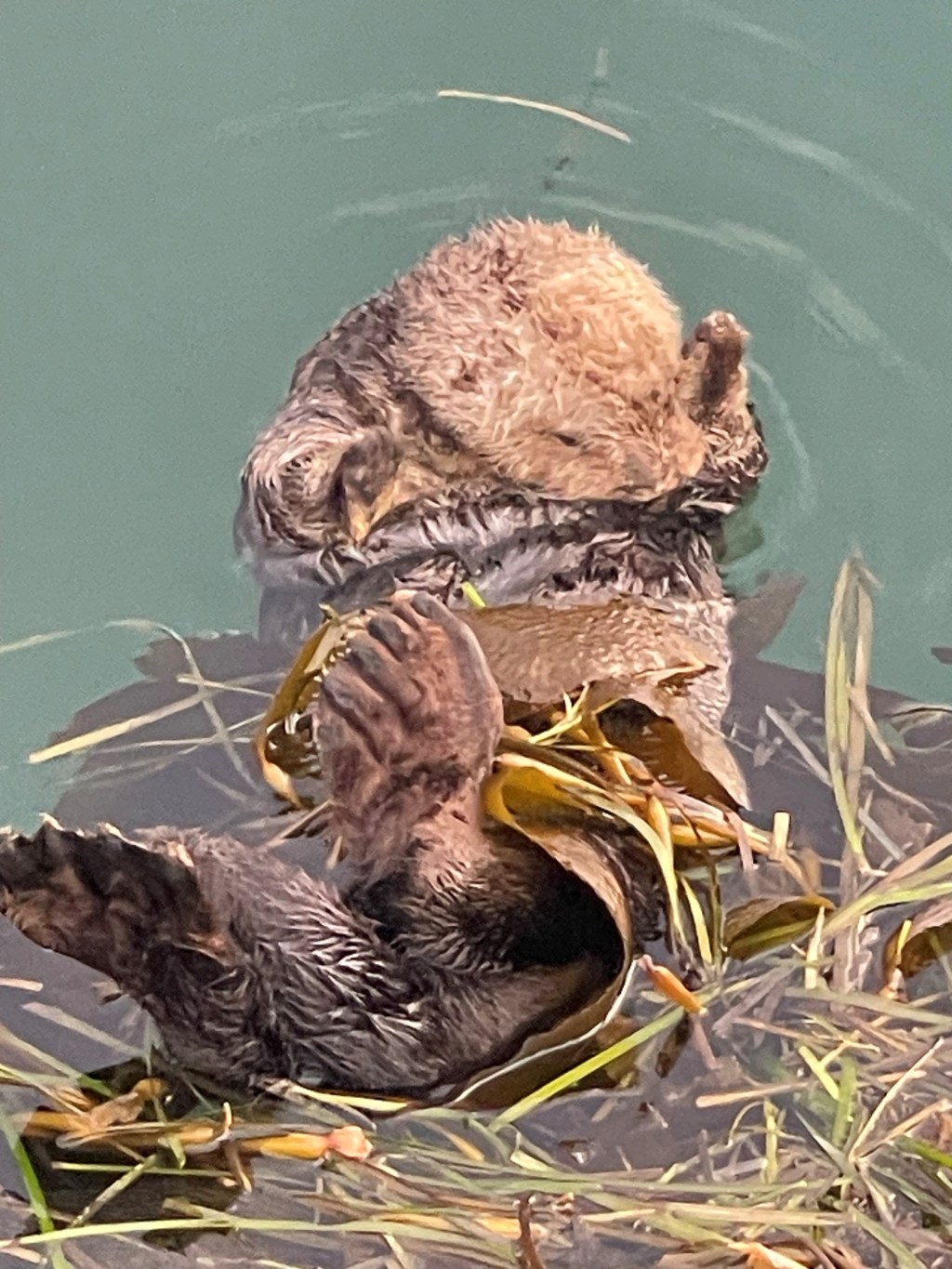 It Looked Obvious, Until It Wasn’t: