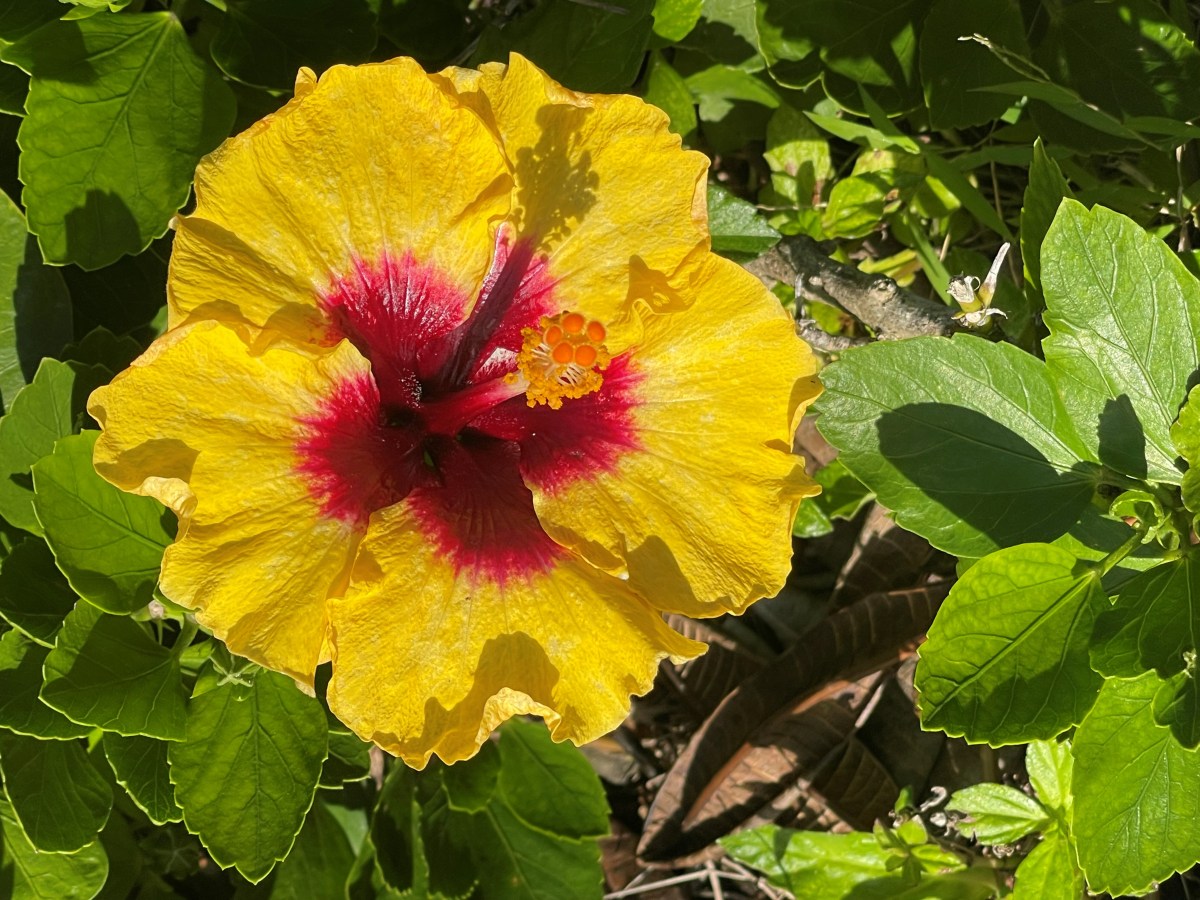 When The PTAB Masks Inoperability With Teaching Away: A Logical Failure on&nbsp;Obviousness